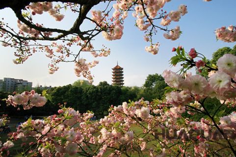 『隨華全，觀天下』 ——走進(jìn)渝北