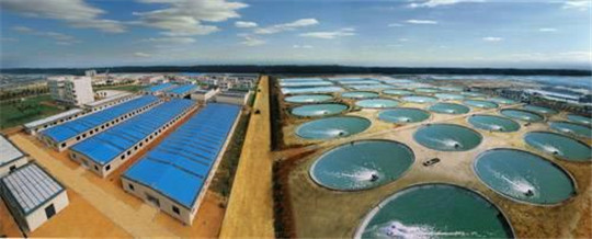 湛江水產公司訂購華全玉柴發電機組